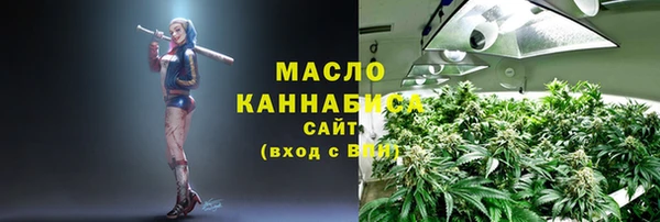 ГАЛЛЮЦИНОГЕННЫЕ ГРИБЫ Гусев