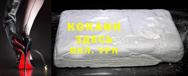 эйфоретик Гусь-Хрустальный