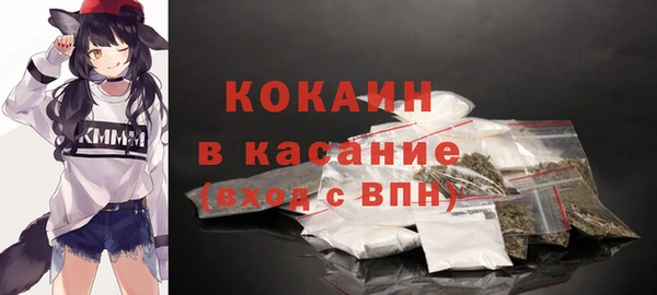 эйфоретик Гусь-Хрустальный