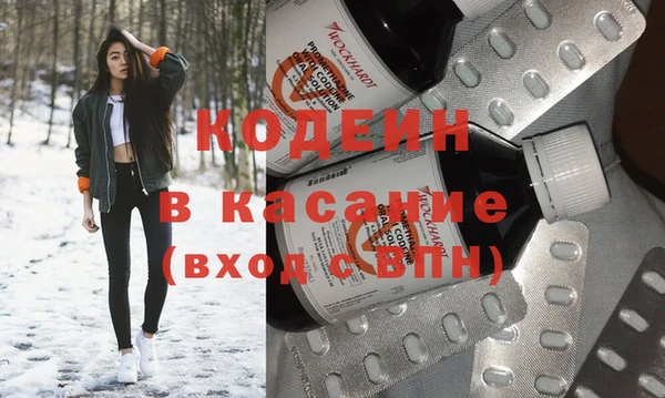 эйфоретик Гусь-Хрустальный