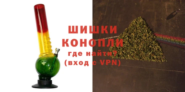 эйфоретик Гусь-Хрустальный