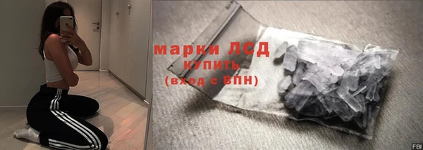 ГАЛЛЮЦИНОГЕННЫЕ ГРИБЫ Гусев