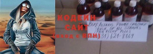 ГАЛЛЮЦИНОГЕННЫЕ ГРИБЫ Гусев