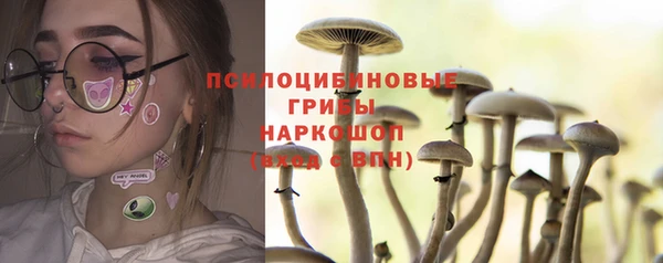 не бодяженный Гусиноозёрск