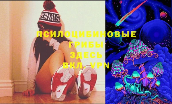 эйфоретик Гусь-Хрустальный