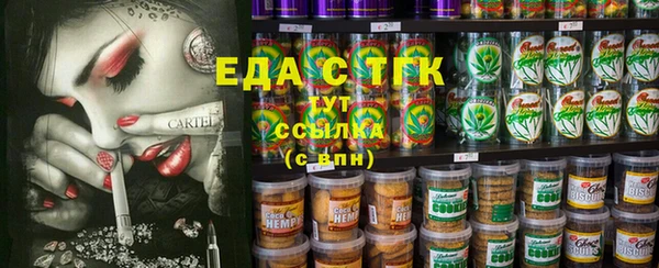 ГАЛЛЮЦИНОГЕННЫЕ ГРИБЫ Гусев