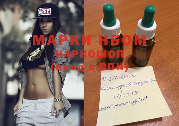 ГАЛЛЮЦИНОГЕННЫЕ ГРИБЫ Гусев