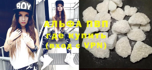 ГАЛЛЮЦИНОГЕННЫЕ ГРИБЫ Гусев
