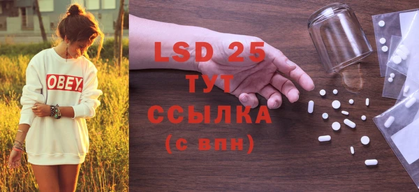 ГАЛЛЮЦИНОГЕННЫЕ ГРИБЫ Гусев