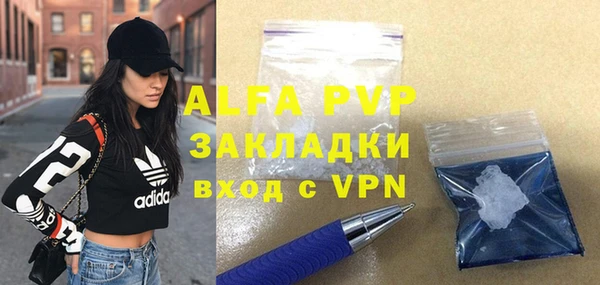 ГАЛЛЮЦИНОГЕННЫЕ ГРИБЫ Гусев