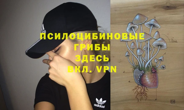 не бодяженный Гусиноозёрск