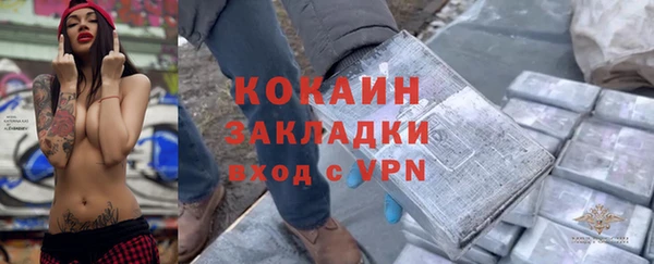 эйфоретик Гусь-Хрустальный