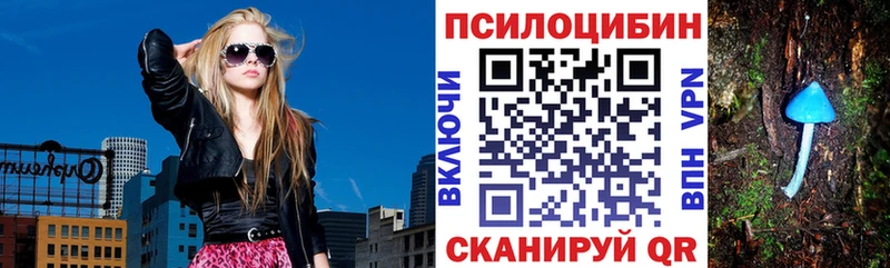Купить закладки  Мглин  Псилоцибиновые грибы прущие грибы 